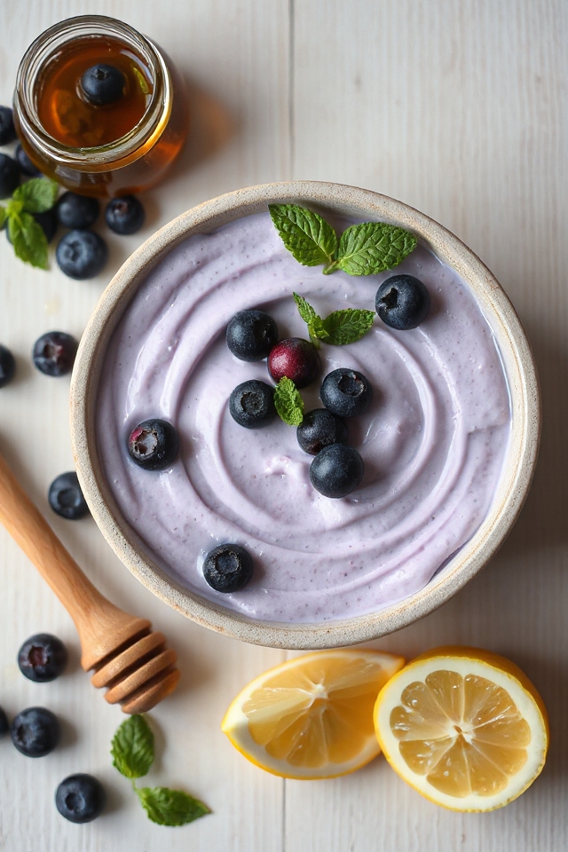 blueberry frozen yogurt recipe